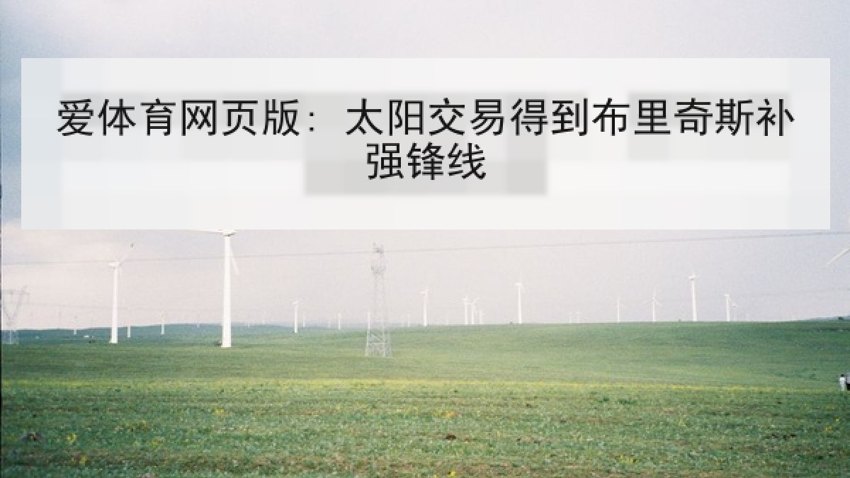 爱体育网页版: 太阳交易得到布里奇斯补强锋线